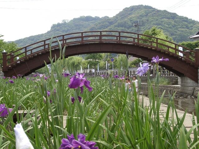 �P�ؐ�Ҋ����̎ʐ^1