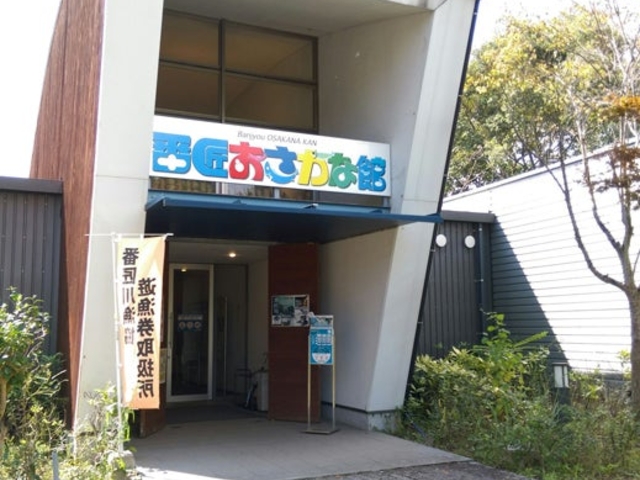 �ԏ��������Ȋق̎ʐ^1