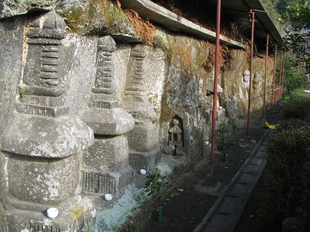 ���q���R�Γ��̎ʐ^1