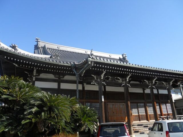 ��_�R�E���J���̎ʐ^1