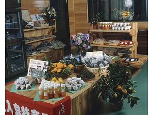 ������H�ʊ�