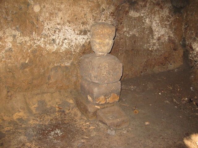 �L���V�^���n����q���̎ʐ^1