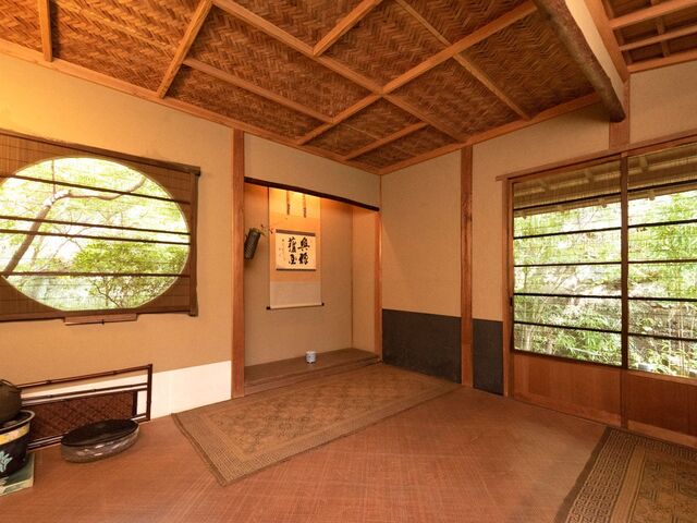 �����T���̎ʐ^1