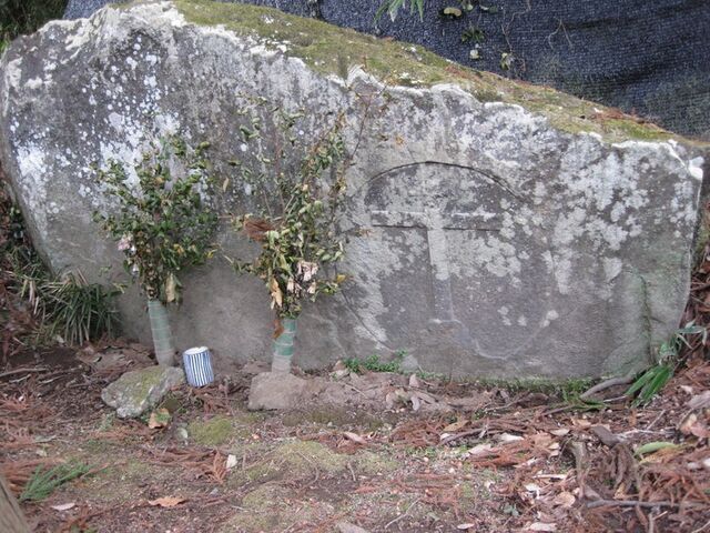 ���R�N���X�̎ʐ^1