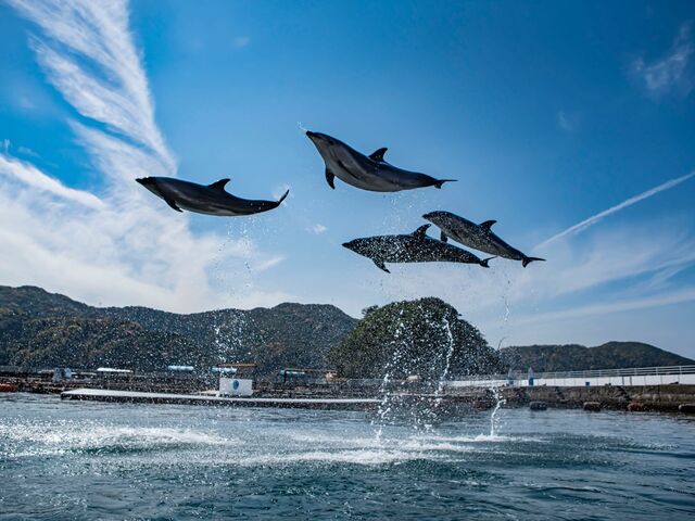 ���݂��ܑ̌��p�[�N ���݃C���J��