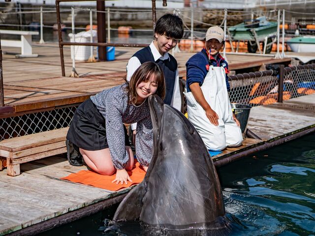 ���݂��ܑ̌��p�[�N ���݃C���J��