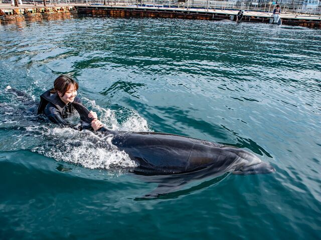 ���݂��ܑ̌��p�[�N ���݃C���J��