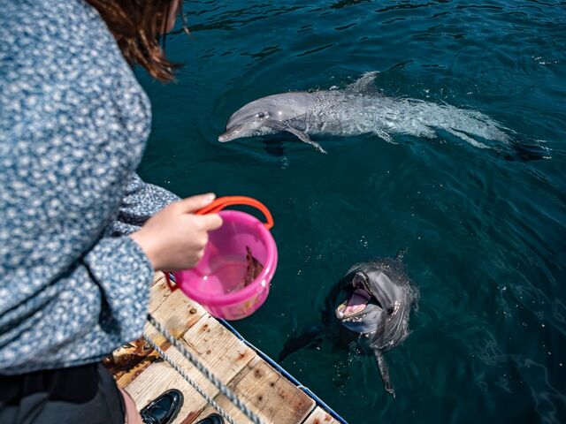 ���݂��ܑ̌��p�[�N ���݃C���J��