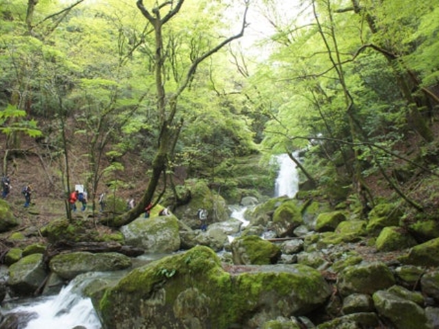 �_���o�R���̎ʐ^1