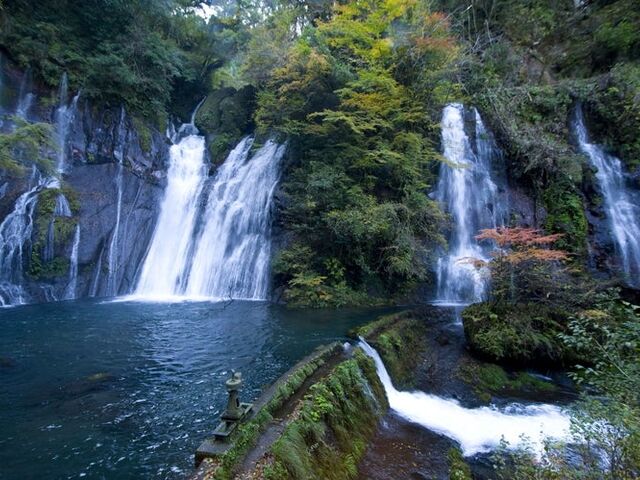 �����̑�̎ʐ^1