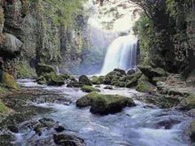 �����̑�̎ʐ^1