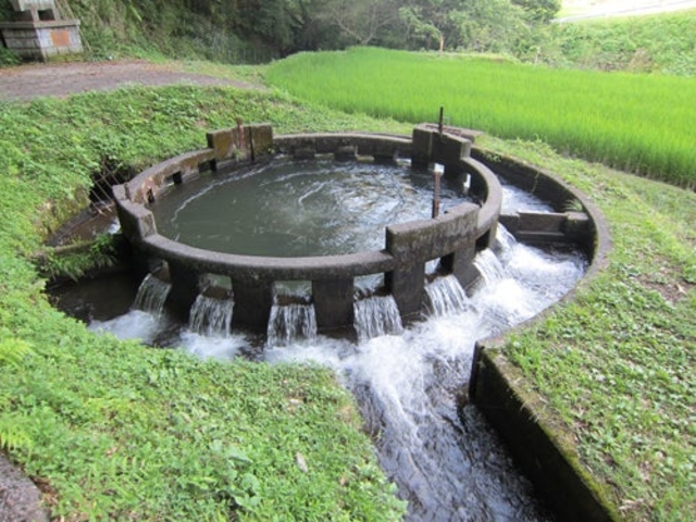 �~�`�����̎ʐ^1