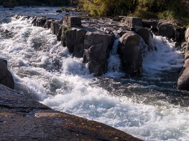 �\��̒���ߗ�