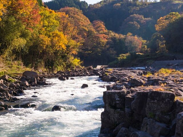 �\��̒���ߗ�