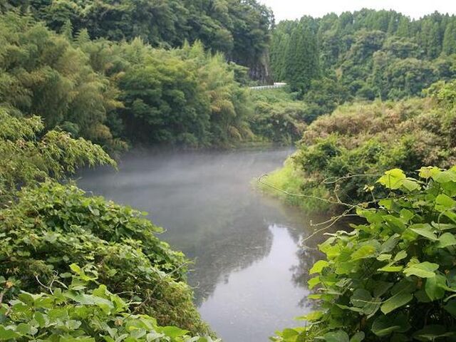 �|�c�_���i���Z�_���j