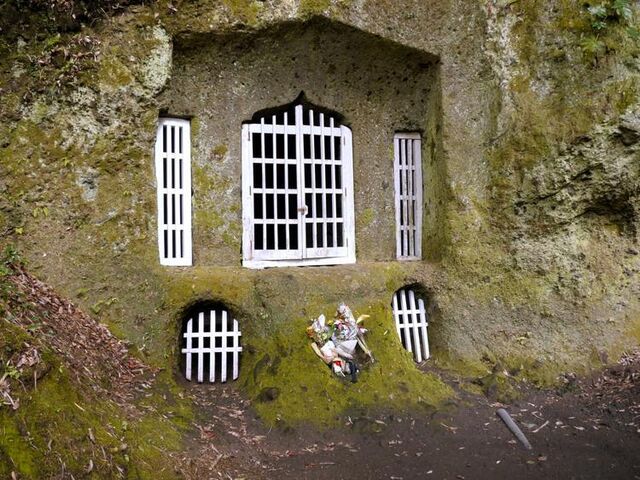 �؎x�O���A��q���Ղ̎ʐ^1