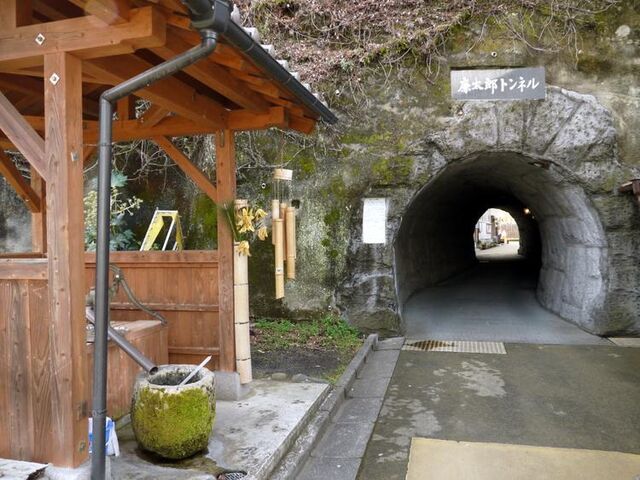 �����Y�g���l���̎ʐ^1