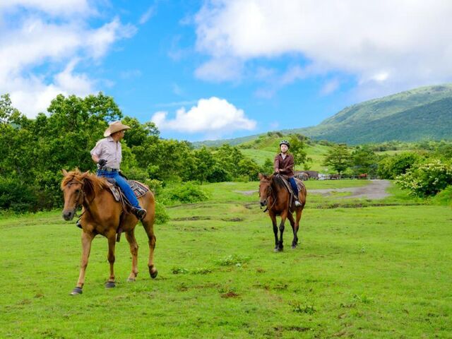 �R�R�y�� �E�G�X�^�� ���C�f�B���O�̎ʐ^1