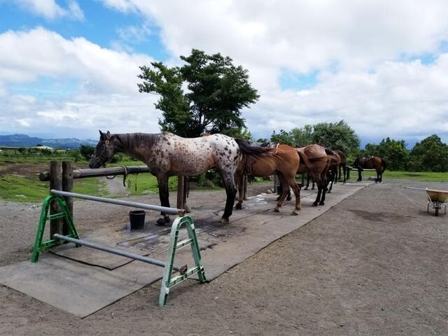 �R�R�y�� �E�G�X�^�� ���C�f�B���O