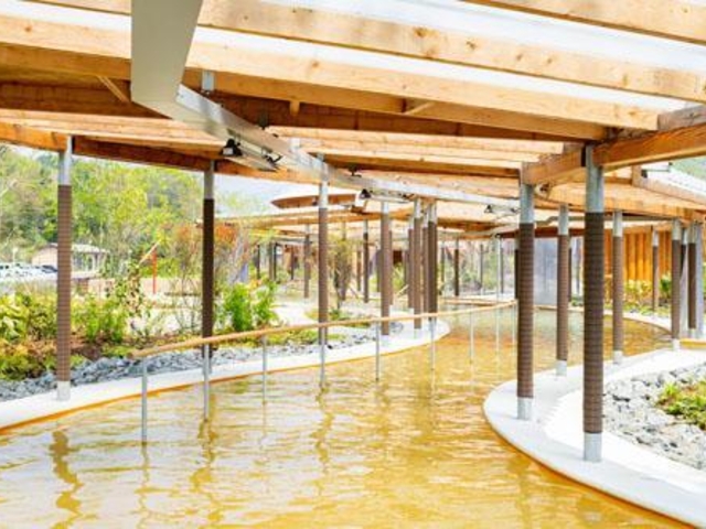 �N�A�p�[�N����