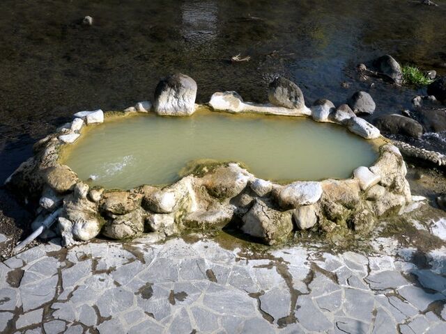 �K�j���̎ʐ^1