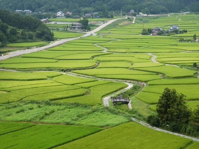 �c�����̎ʐ^1