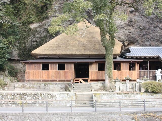 �V�O���̎ʐ^1