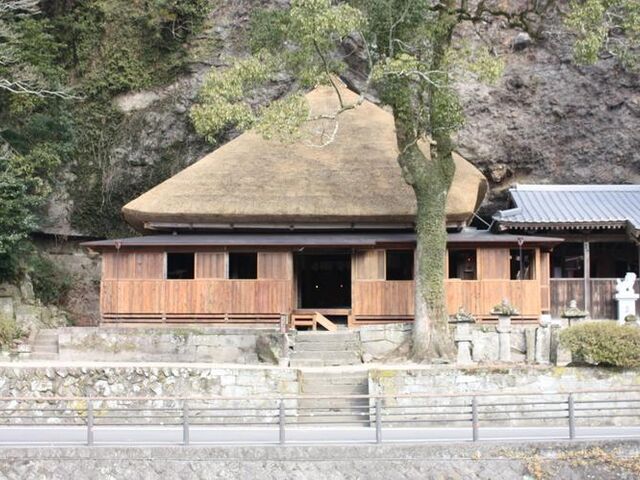 �V�O���̎ʐ^1