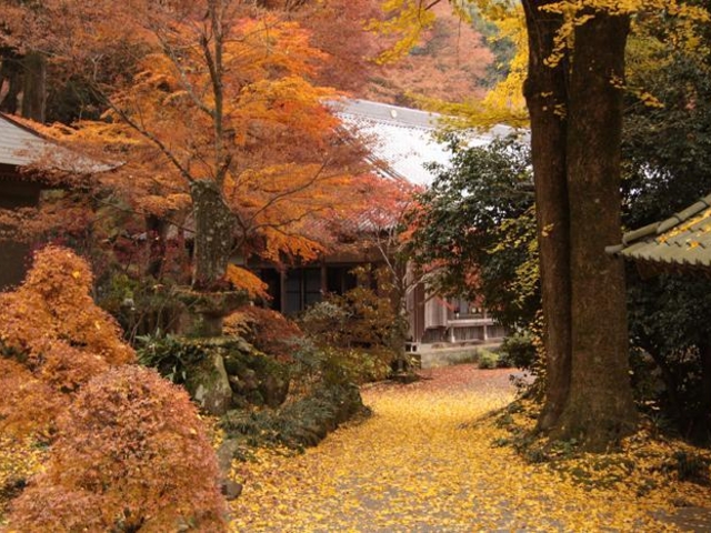 �������̎ʐ^1