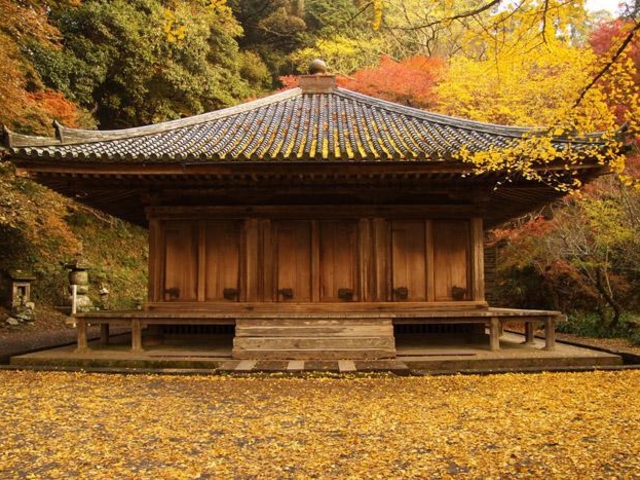 �x�M���̎ʐ^1