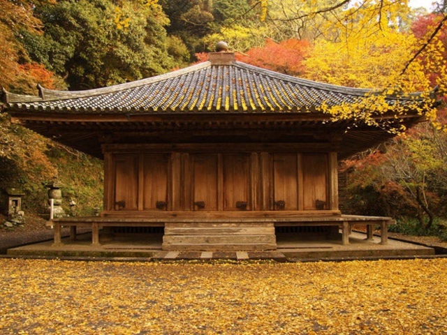 �x�M���̎ʐ^1