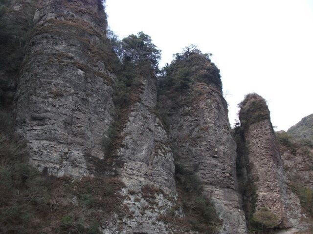 ��R���R���E�O�̋{�̌i