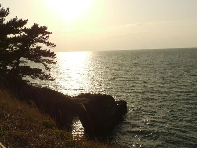 ����@���]�[�g�L�����v��E�C������