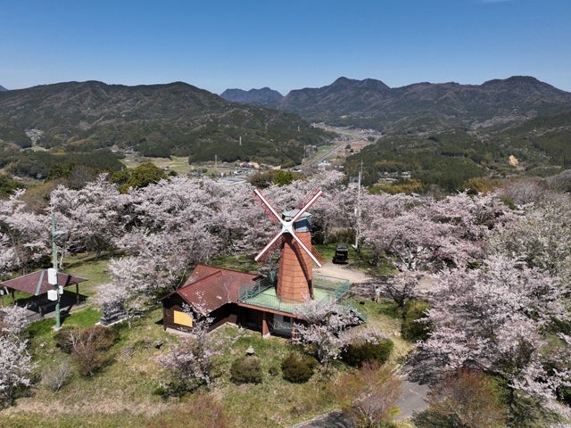 �b���R�����̎ʐ^1