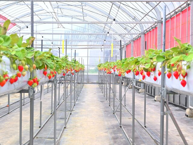 �Z�g�l���]�[�g�p�[�N �l���������̎ʐ^1