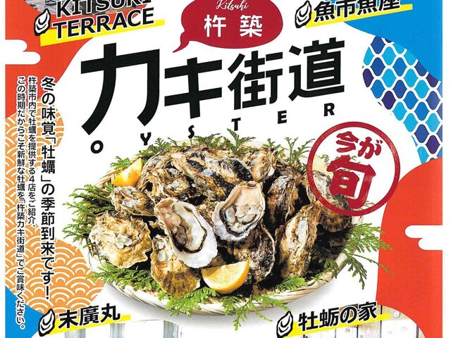 �n�z�J�L�X���̎ʐ^1