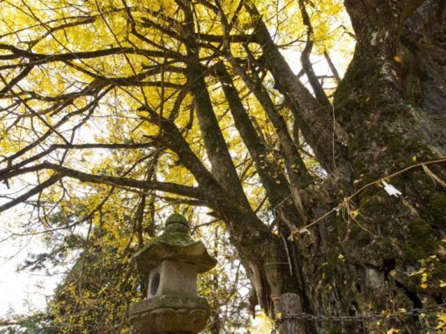 ���ŉ��̑��ǂ̎ʐ^1