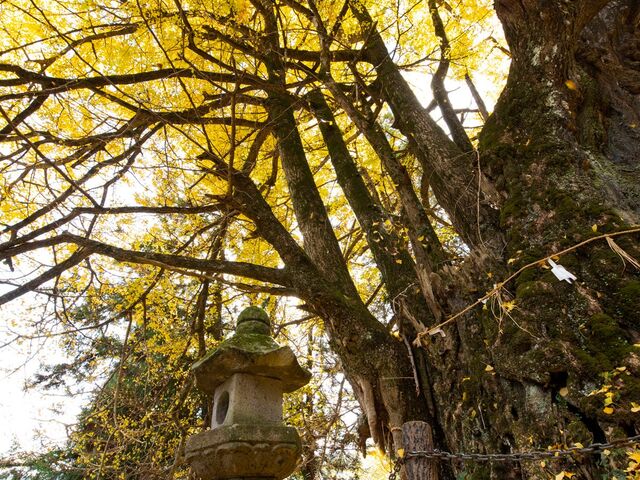 ���ŉ��̑��ǂ̎ʐ^1