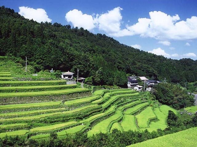 �����I�c�̎ʐ^1