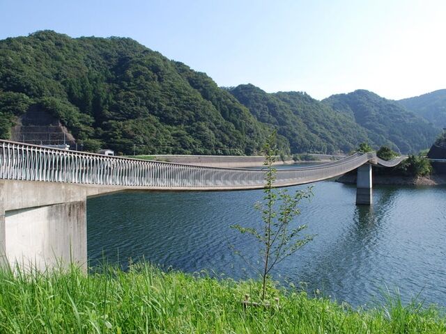 �����_���E�݂苴�̎ʐ^1