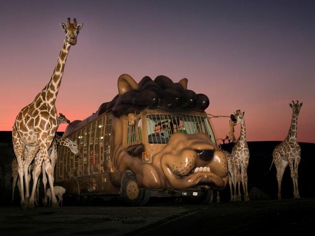 ��B���R�������� �A�t���J���T�t�@��