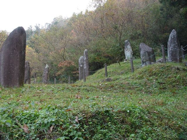 ���c���΂̎ʐ^1