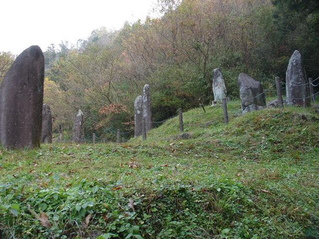 ���c���΂̎ʐ^1