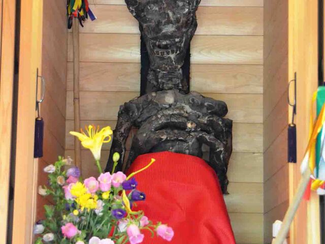 �\��R���@ �S�̃~�C���̎ʐ^1