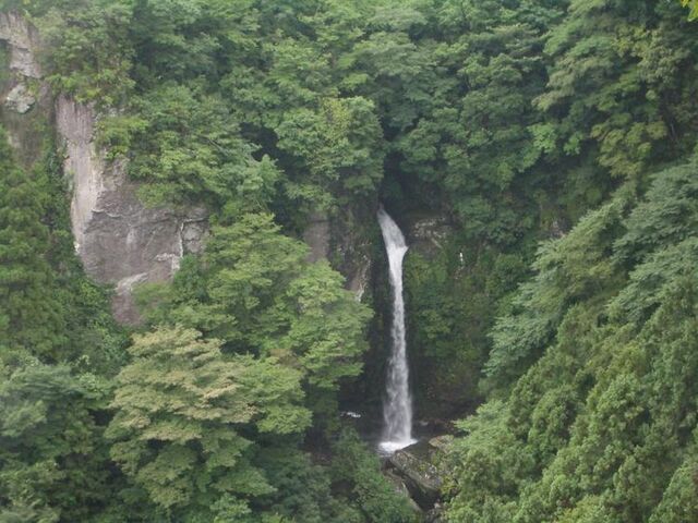 �悩�낤�p�[�N�L�����v��