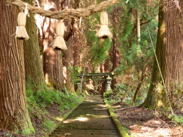 ���j�Ђ̎ʐ^1