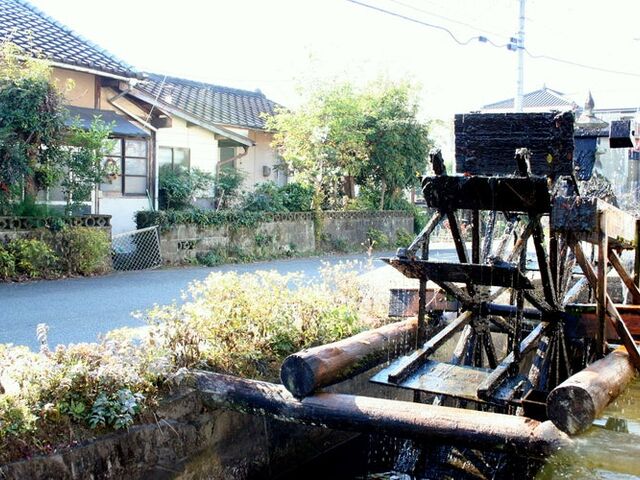 ������H�̎ʐ^1