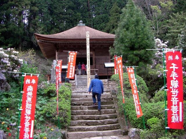 �_�p���̎ʐ^1