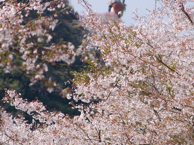 ���R�ω��i�@�鎛�j�̎ʐ^1