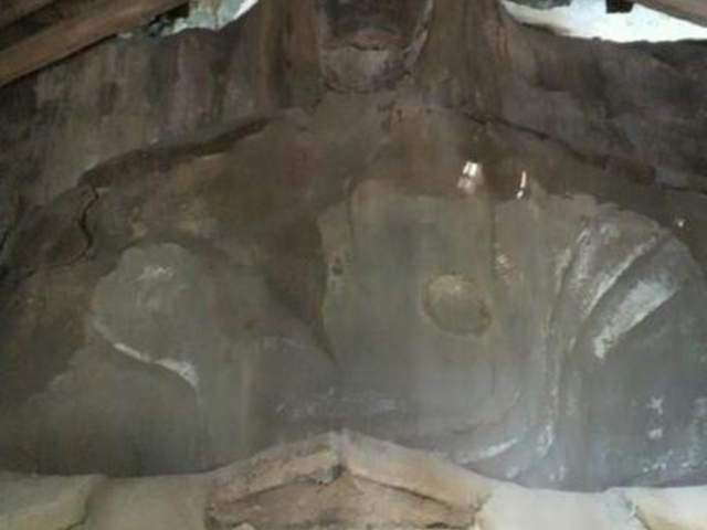 �唗���R���̎ʐ^1